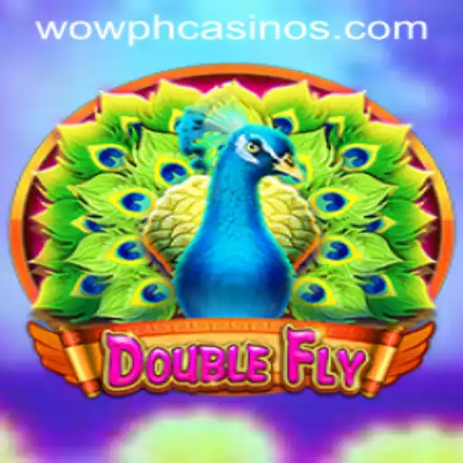 The Thrilling World of DoubleFly: Experience the Excitement